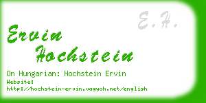 ervin hochstein business card